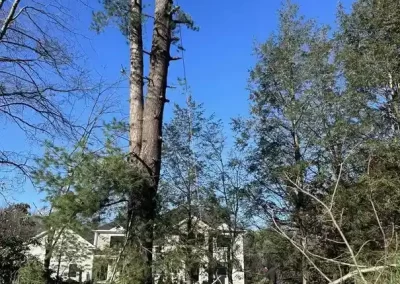 Efficient Masonry Contractor